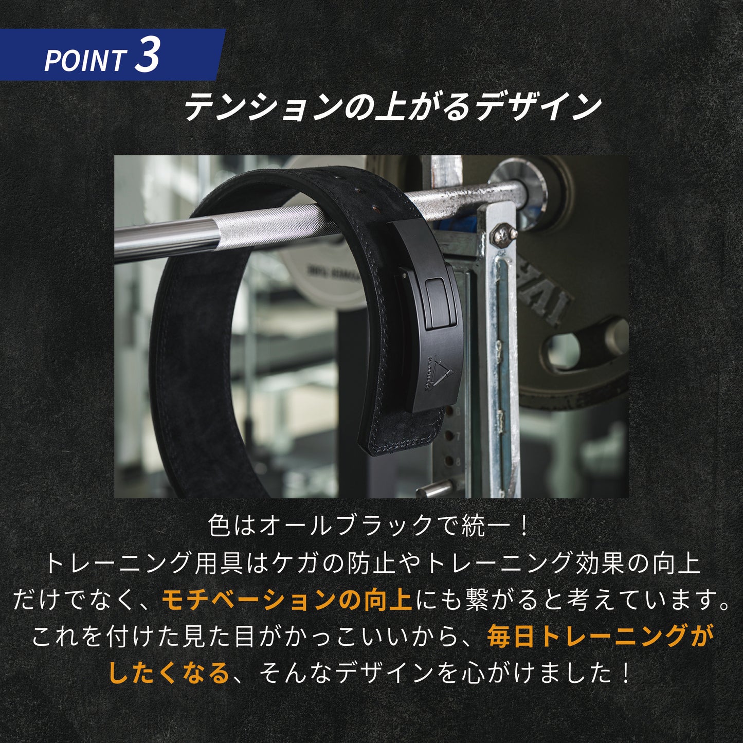 POWER BELT LITE-パワーベルトライト-P.L.College-パワーリフティングベルト