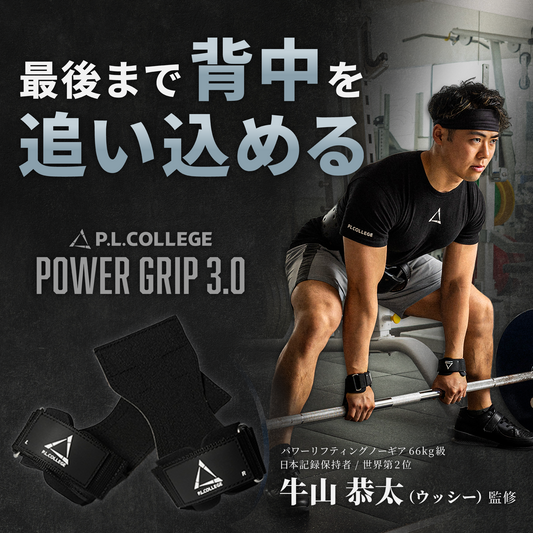 パワーグリップ3.0