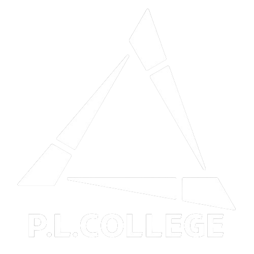 ニースリーブ【パワーチューブNAOTO監修】 – P.LCollege-パワー
