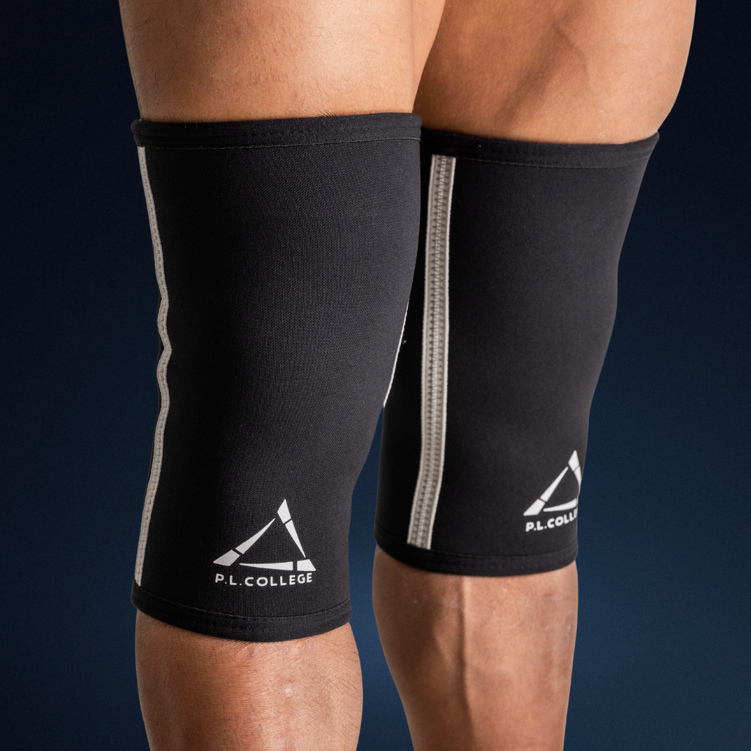 ニースリーブ2.0